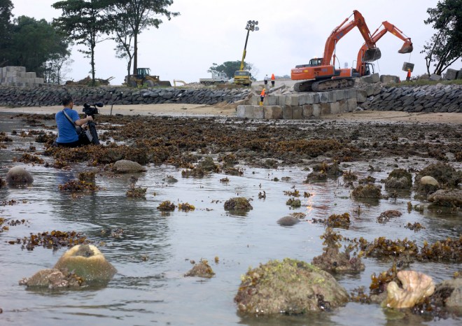 Environmental degradation: scrutinized rigorously in the report